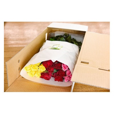 【色おまかせ3色以上】薔薇の花 20本×長さ60cm (切り花延命剤付属)※ 配送不可 沖縄・離島