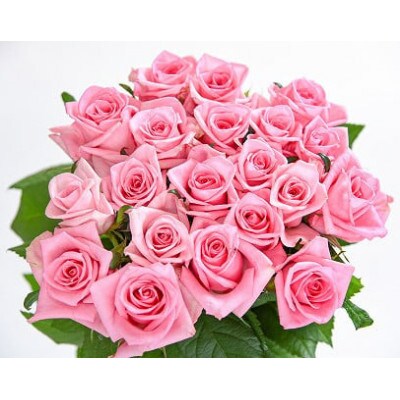 【ピンク系】薔薇の花 20本×長さ60cm (切り花延命剤付属)※ 配送不可 沖縄・離島