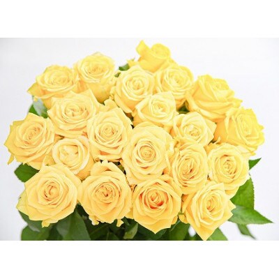 【黄色系】薔薇の花 20本×長さ60cm (切り花延命剤付属)※ 配送不可 沖縄・離島