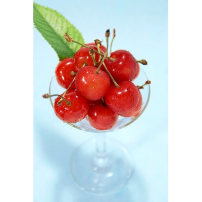 母の日 寒河江市 ハウスさくらんぼ 佐藤錦 秀品 L玉100g×2パック&バラ(生花)付き