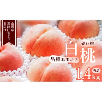 白桃《硬い桃》1.4kg(4～6玉) 品種おまかせ 秀品　2026年産