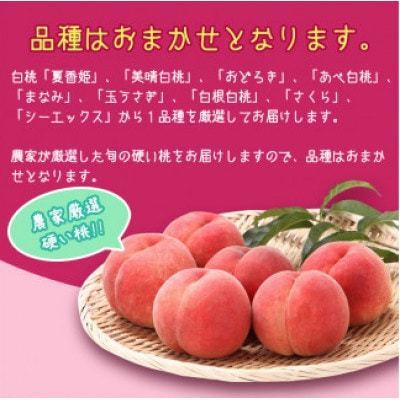 白桃《硬い桃》1.4kg(4～6玉) 品種おまかせ 秀品　2026年産