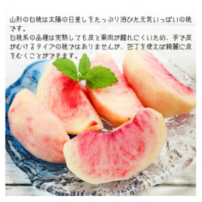 山形の白桃 3kg(8～16玉)  品種おまかせ 秀品　2026年産