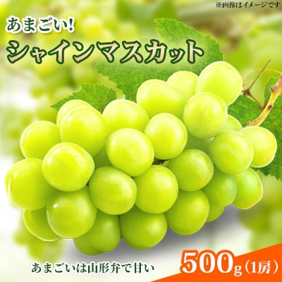 ���܂���!�V���C���}�X�J�b�g 500g (1�[)�G�i�y�����p�z2026�N�Y �R�`���Y