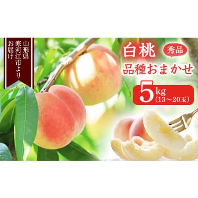 山形の白桃 5kg(約13～約20玉)  品種おまかせ 秀品　2026年産