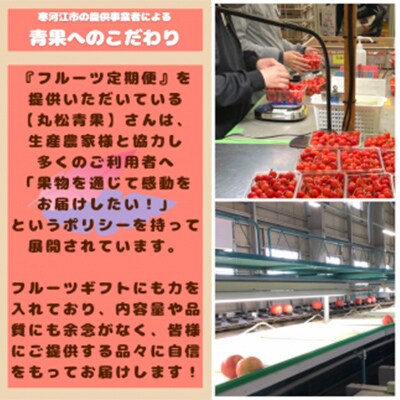 【発送月固定定期便】【山形の厳選果物】至福の6回 フルーツ 定期便 ～陽(よう)2024年産全6回