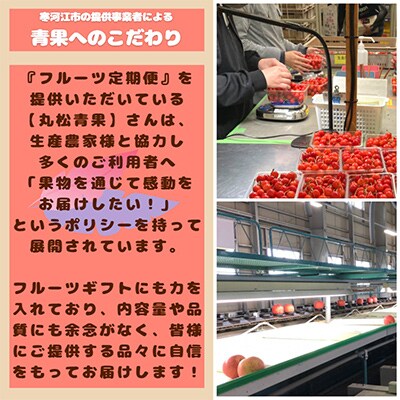 【発送月固定定期便】旬果が4種「フルーツ 定期便～結(ゆい)～」全4回