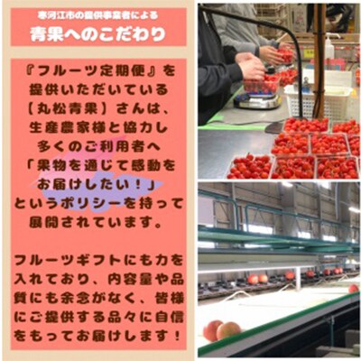 【発送月固定定期便】【山形の厳選果物】至福の6回 フルーツ 定期便 ～月(つき)全6回
