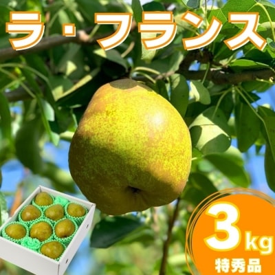【GI登録品】特秀品「 ラ・フランス 」3kg 化粧箱入(8～12玉) サイズおまかせ