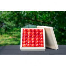 2025年産 さくらんぼ 「 紅秀峰 」 300g 特秀品 3Lサイズ <桐箱入り> 山形県産