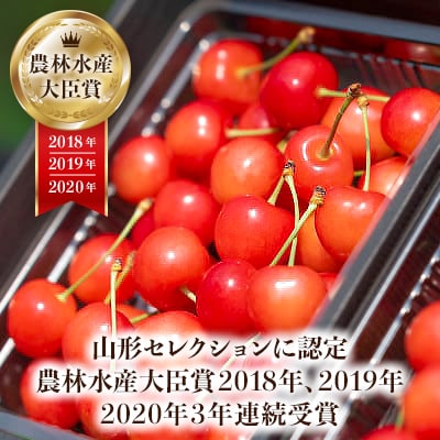 2025年産 さくらんぼ 「 佐藤錦 」 600g 特秀品 L以上 (300g×2) 山形県産