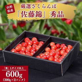 2024年産 さくらんぼ「 佐藤錦 」600g 秀品 L以上 山形県産 015-A26