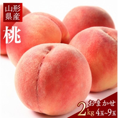 2027年産 【ミネラル肥料栽培】 白桃 2kg 秀品 品種おまかせ (4～9玉) 山形県産