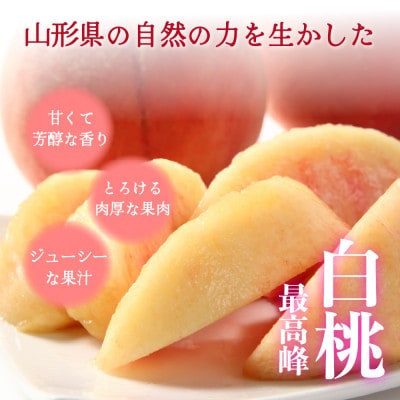 2026年産 【ミネラル肥料栽培】 白桃 2kg 秀品 品種おまかせ (5～9玉) 山形県産