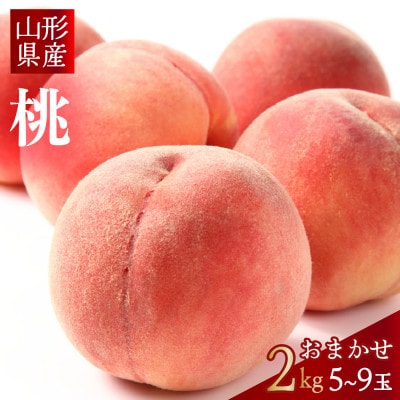 2026年産 【ミネラル肥料栽培】 硬めの白桃 2kg 秀品 品種おまかせ (5～9玉) 山形県産