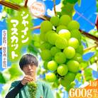 【厳選の1房】こだわりの シャインマスカット 600g以上 山形県産　008-B01