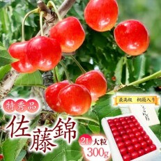 2024年産 さくらんぼ「佐藤錦」300g特秀品2Lサイズ<桐箱入り>山形県産　020-A10