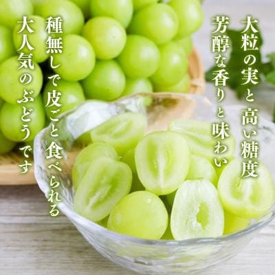【満足の2～3房】こだわりのシャインマスカット 約1.2kg 山形県産 014-B01