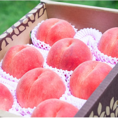 2025年産【ミネラル肥料栽培】白桃 3kg 秀品 品種おまかせ (8～13玉) 山形県産
