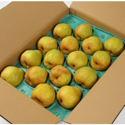 2025年予約分 【GI登録品】特秀品「ラ・フランス」5kg 化粧箱入り(12～20玉)
