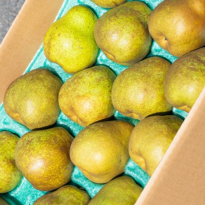 2025年予約分 【GI登録品】特秀品「ラ・フランス」5kg 化粧箱入り(12～20玉)