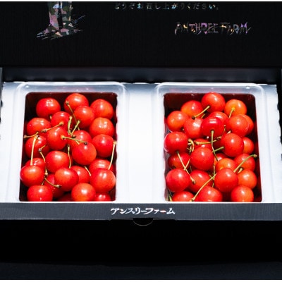 2027年産 さくらんぼ「佐藤錦」500g(250g×2) 「秀品」 L以上 山形県産