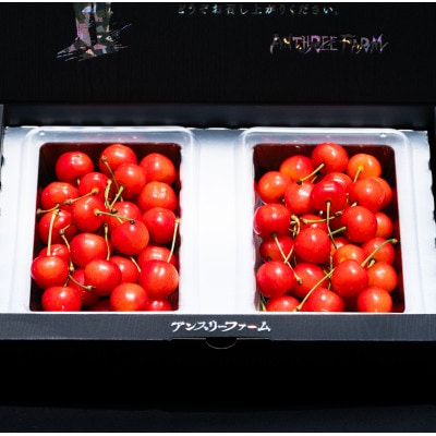 2027年産 さくらんぼ「佐藤錦」500g(250g×2) 「特秀品」 L以上 山形県産