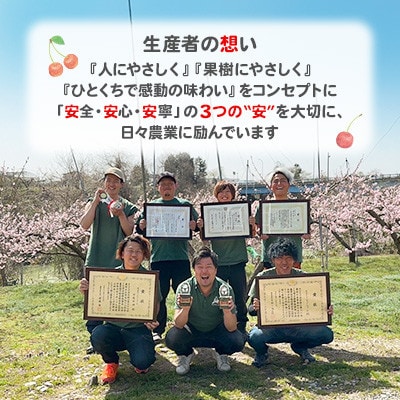 2026年 さくらんぼ「 紅秀峰 」600g 特秀品 Lサイズ (300g×2) 山形県産