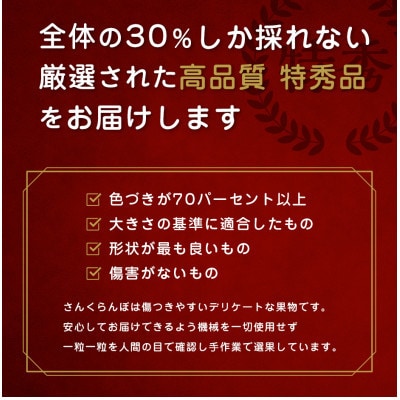 2027年 さくらんぼ 「 紅秀峰 」 300g 特秀品 2Lサイズ (300g×1) 山形県産