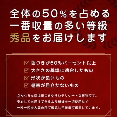 2027年 さくらんぼ「 紅秀峰 」300g 秀品 Lサイズ (300g×1) 山形県産