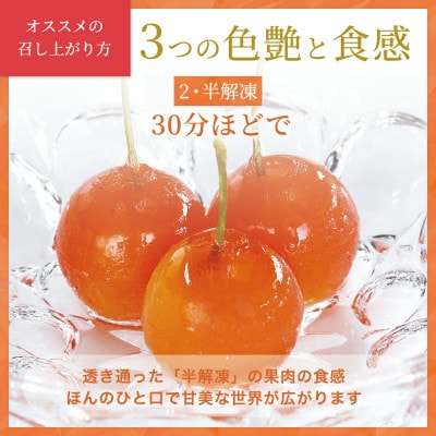 さくらんぼの宝石!プチジェリチェリー 8個入×2箱セット