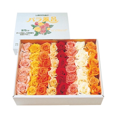 ご自宅用 優雅な薔薇風呂セット(生バラ48輪)　018-K0
