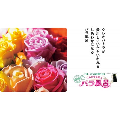 ご自宅用 優雅な薔薇風呂セット(生バラ48輪)　018-K0