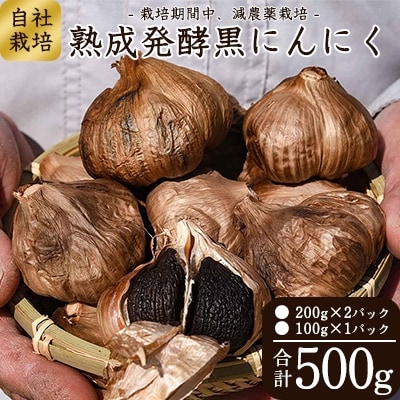【有機質肥料栽培】発酵熟成 黒にんにく 500g　010-G19