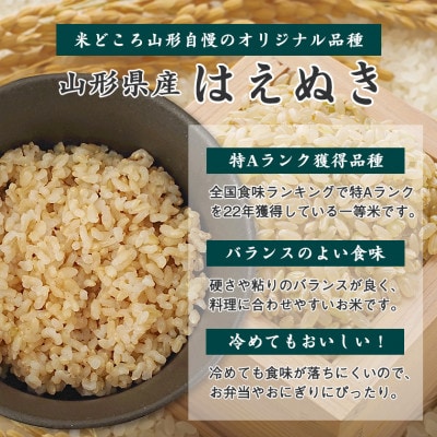 【2025年産】山形県産 玄米2種セット 合計9kg【つや姫・はえぬき】 令和7年産