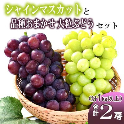 必ずシャインマスカット入り!ぶどう詰合せ 計2房(計1kg以上)品種おまかせ　012-B01