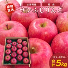 【2024年産】山形県産サンふじりんご 約5kg (12~20玉入り)