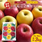 【2025年産】山形県産 りんご2種セット(サンふじ シナノゴールド) 3kg