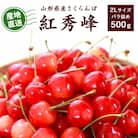 【2026年産・先行受付】山形県産 さくらんぼ 紅秀峰 約500g 大粒2Lサイズ バラ詰め