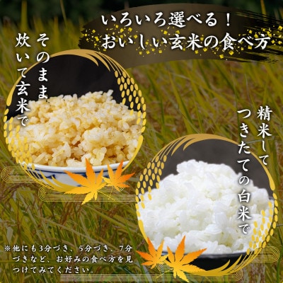 【2025年産・先行受付】山形県産 つや姫玄米 8kg(4kg×2袋)