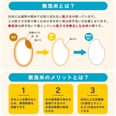 【2024年産】無洗米  山形県産はえぬき 8kg (2kg×4袋) 令和6年産