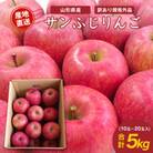 【2025年産】訳あり規格外 山形県産 サンふじ りんご 5kg (10~20玉入)