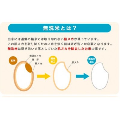 【2025年産・先行受付】無洗米 山形県産 つや姫 8kg(4kg×2袋) 令和7年産