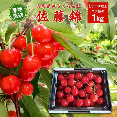 【2027年産・先行受付】山形県産 さくらんぼ 佐藤錦 約1kg Lサイズ以上 バラ詰め