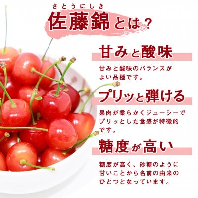 【2027年産・先行受付】山形県産 さくらんぼ 佐藤錦 約1kg Lサイズ以上 バラ詰め