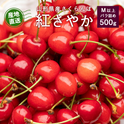 【2027年産・先行受付】山形県産 さくらんぼ 紅さやか 約500g Mサイズ以上 バラ詰め