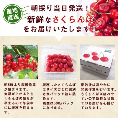 【2027年産・先行受付】山形県産 さくらんぼ 紅さやか 約1kg Sサイズ以上 バラ詰め