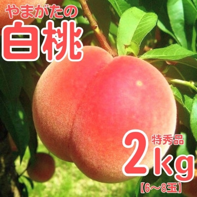 白桃 2kg 品種おまかせ (6～8玉) 山形県産 010-B54