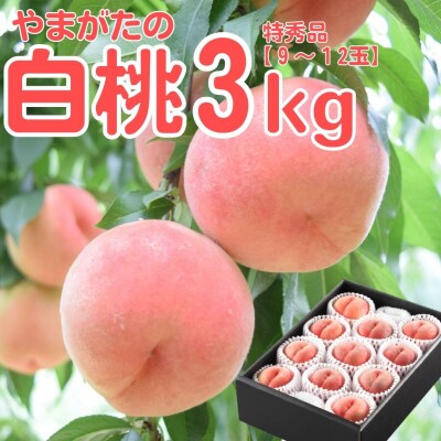 【特秀品】白桃 3kg 品種おまかせ (9～12玉)山形県産　 011-B01 | ふるさと納税のお礼品