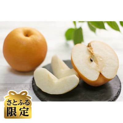 【さとふる限定】品種お任せ和梨3kg(7～12玉)(豊水またはあきづきのどちらか1品種)